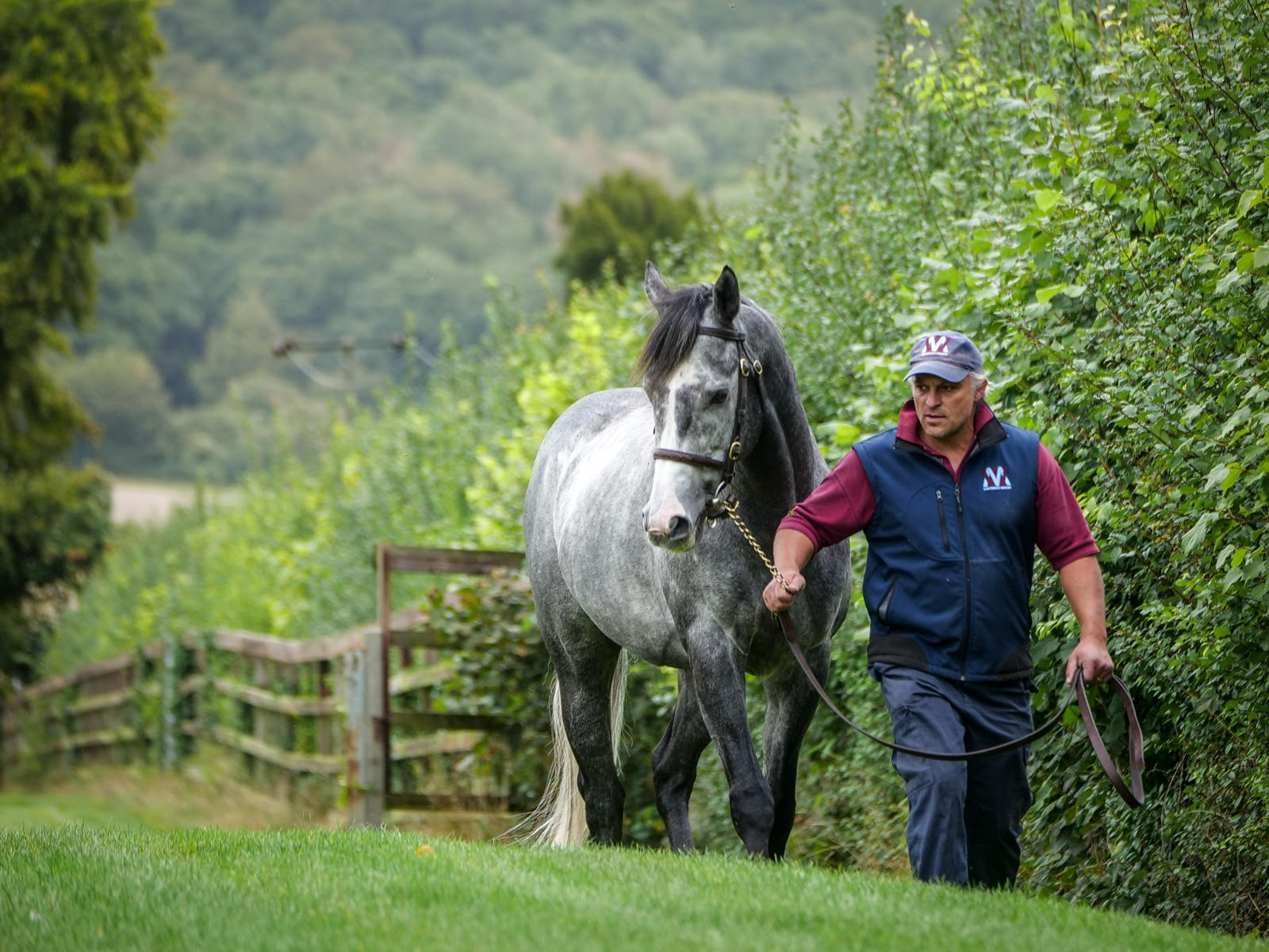 Dragon Symbol Retired to Whitsbury Manor Stud feature image